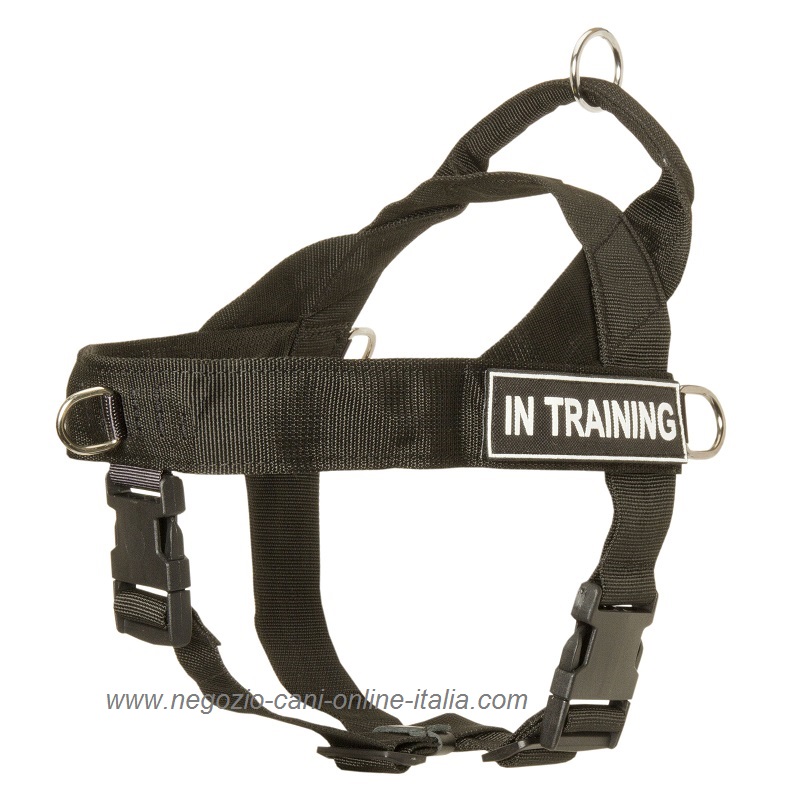 Bobby Rando Walk - Pettorina per cani, Pettorina per cani Cane Taglia Media Piccola  Grande in nylon, Sicura, Comoda, Riflettente, Regolabile, Nero,  xL/53-82x2,5 CM 