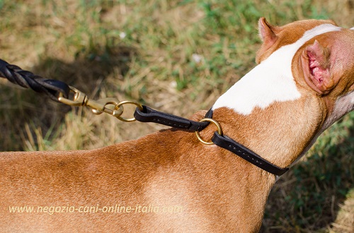 Collare a strozzo in cuoio indossato da Pitbull