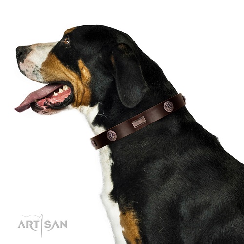 Collare decorato per Swiss Mountain Dog