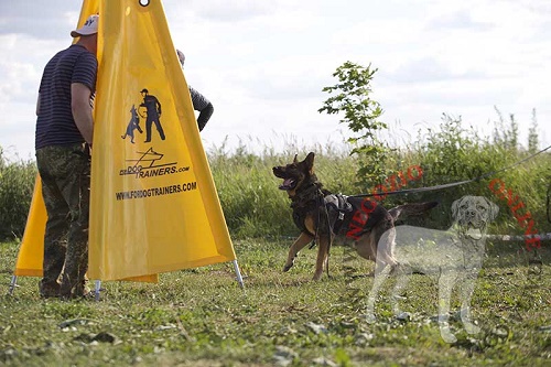 Tenda nascondiglio per lavoro professionale con cane