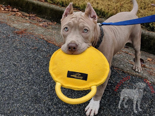 Tug da mordere con maniglia per l'addestramento
del cane