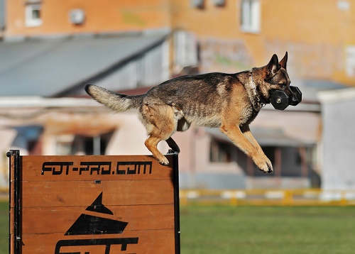 Salto scomponibile in legno