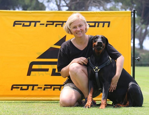 Salto universale per l'addestramento del cane