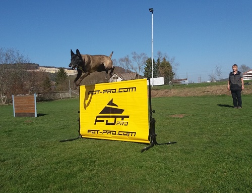 Salto universale per l'allenamento del cane