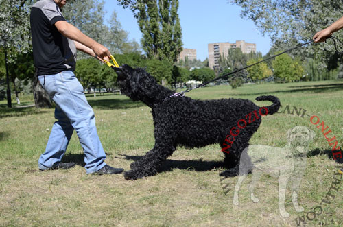 Comodo riporto da mordere in Tela Francese con
due maniglie per cane