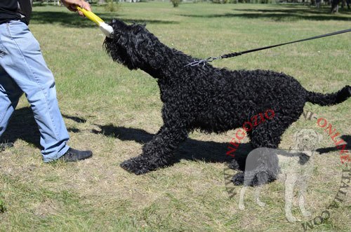 Salamotto da mordere in gomma per Terrier Nero Russo