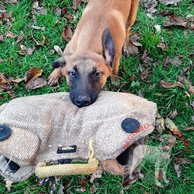 Manica protettiva in juta per formazione del
Malinois