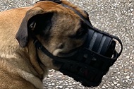 Museruola in pelle "Maximum Safety" per Bullmastiff