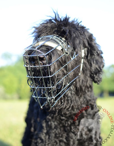 Museruola a cestello per addestramento del Black Russian Terrier