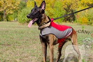 Cappotto impermeabile "Raincoat Cape" per Malinois Cappotto impermeabile "Raincoat Cape" per Malinois