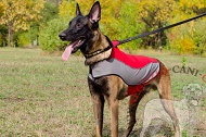 Cappotto impermeabile "Raincoat Cape" per Malinois