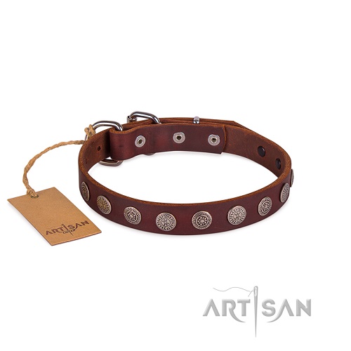 FDT Artisan - Collare marrone con medaglie anticate per cane