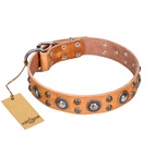 FDT Artisan - Collare in cuoio tan "Extra Sparkle" per cane