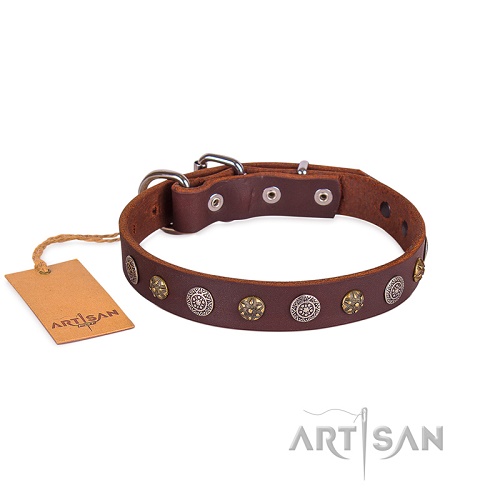 FDT Artisan - Collare marrone con decorazioni dorate per cane