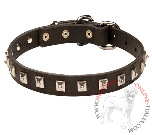 Comodo ed elegante collare per cane in pelle
color nero con decorazioni in acciaio nichelato