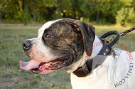 Collare con maniglia "Easy control" per Bulldog Americano Collare con maniglia "Easy control" per Bulldog Americano