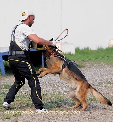 La tuta-grembiule è molto comoda per lavoro con cane