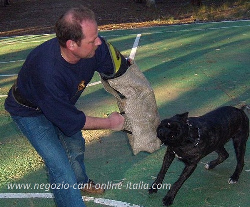 L'addestramento professionale del cane con manica
protettiva in juta