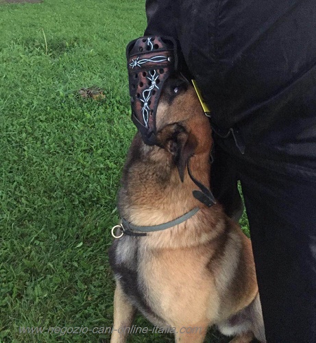 Museruola dipinta a mano per cane