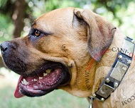 Collare con piastrine e borchie a piramidi per Cane Corso