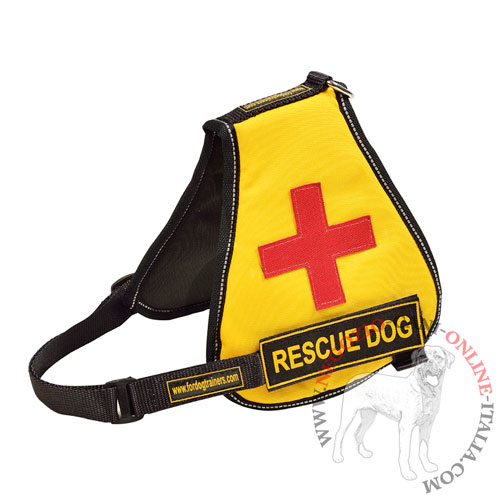 Gilet per cani di servizio speciale Service Dog