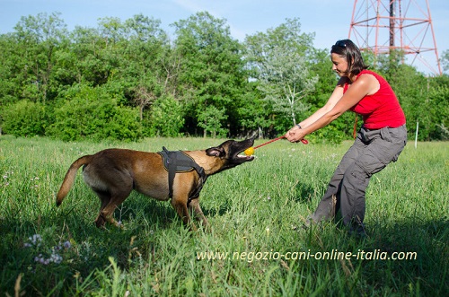 La
palla è perfetta per i giochi divertenti con il cane