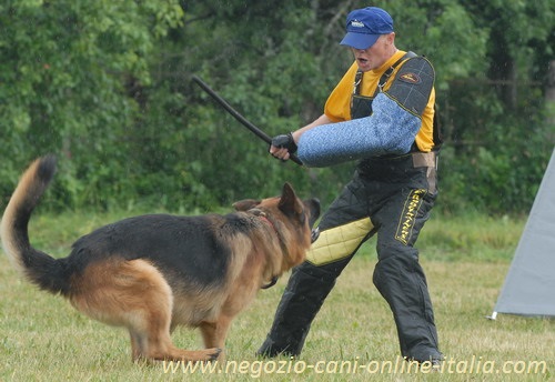 Professionale lavoro con il cane con l'aiuto della manica
protettiva