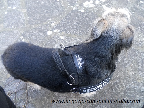 Comoda pettorina per cani