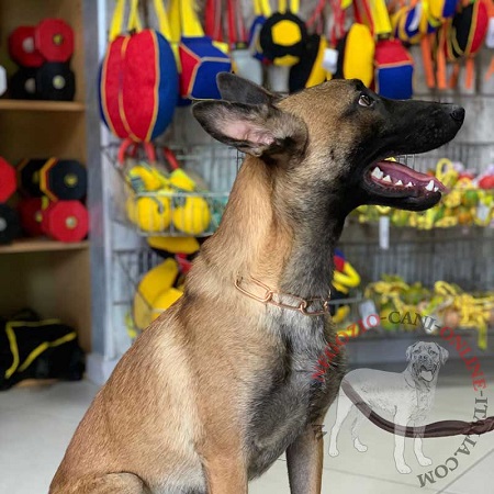 Collare a catena 4 mm in curogan
per Malinois