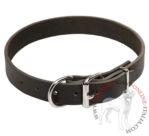 Collare in vera pelle Bossy per Amstaff largo 3 cm