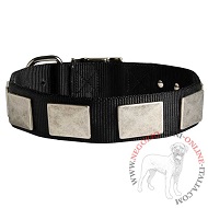 Collare in nylon decorato con piastrine per cane