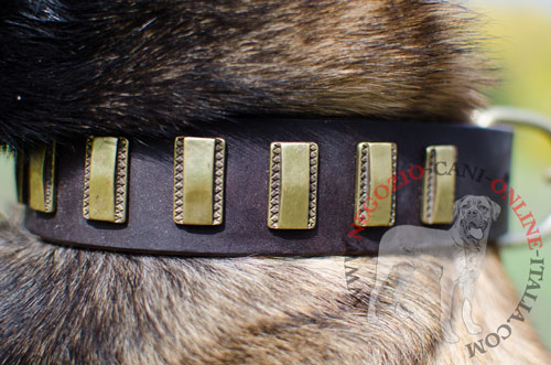 Decorazioni del collare in pelle naturale per cane
