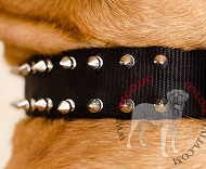 Elegante collare in nylon con decorazioni per Dogue de Bordeaux Elegante collare in nylon con decorazioni per Dogue de Bordeaux