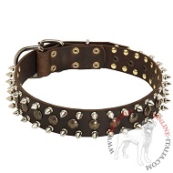 Collare in cuoio decorato con borchie a punta e semisfere Collare in cuoio decorato con borchie a punta e semisfere