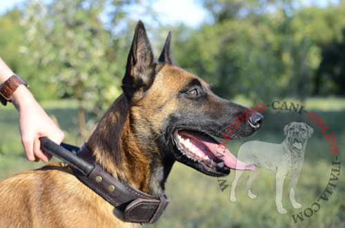 Collare con comoda maniglia per
Malinois