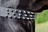 Collare in pelle "Spiked Holiday Collar" per Alano