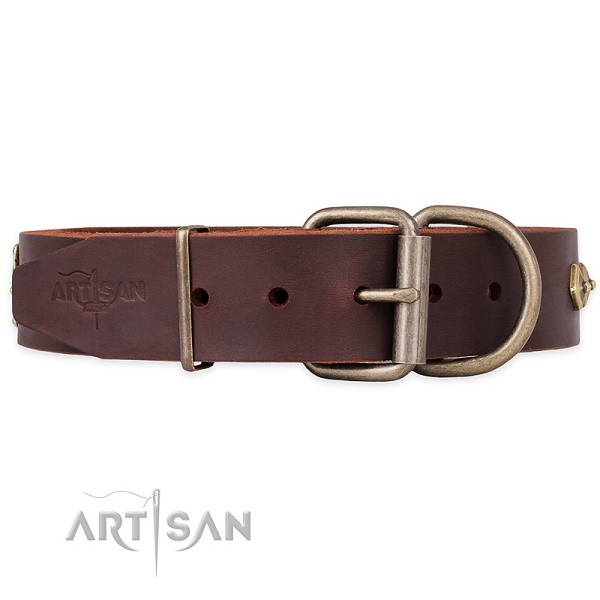 Collare per passeggiate con cane FDT Artisan