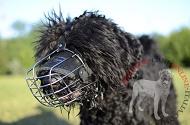 Museruola a cestello in metallo per Black Russian Terrier