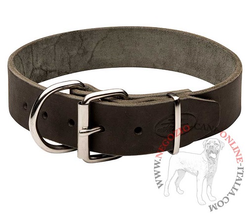 Collare classico in pelle Easy Use largo 40 mm per Malinois