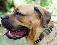 Collare in cuoio con tre tipi di decorazioni per Cane Corso