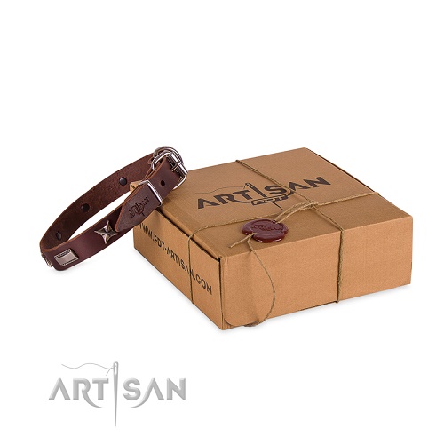 Collare decorato Artisan per cane