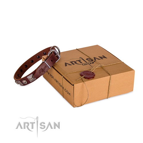 Collare decorato Artisan per cane