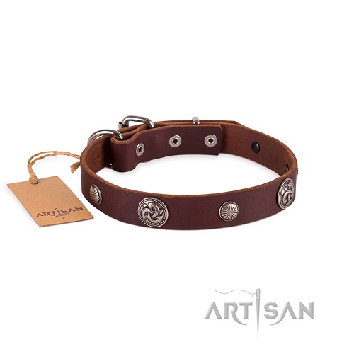 FDT Artisan - Collare con borchie rotonde argentate per cane