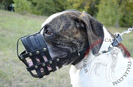 Museruola in pelle "Maximum Safety" per Bulldog Americano Museruola in pelle "Maximum Safety" per Bulldog Americano