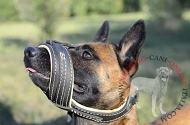 Museruola antiabbaio in cuoio "Everyday" per Malinois Museruola antiabbaio in cuoio "Everyday" per Malinois