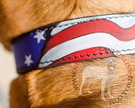 Collare con disegno di bandiera americana per Dogue de Bordeaux Collare con disegno di bandiera americana per Dogue de Bordeaux