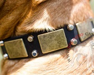 Collare in pelle con originali decorazioni per Dogue de Bordeaux Collare in pelle con originali decorazioni per Dogue de Bordeaux