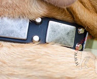 Collare in pelle naturale con decorazioni per Dogue de Bordeaux Collare in pelle naturale con decorazioni per Dogue de Bordeaux