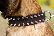Collare in nylon "Thorns of Roses" per Malinois
