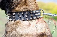 Collare in pelle "Spiked Holiday Collar" per Malinois Collare in pelle "Spiked Holiday Collar" per Malinois